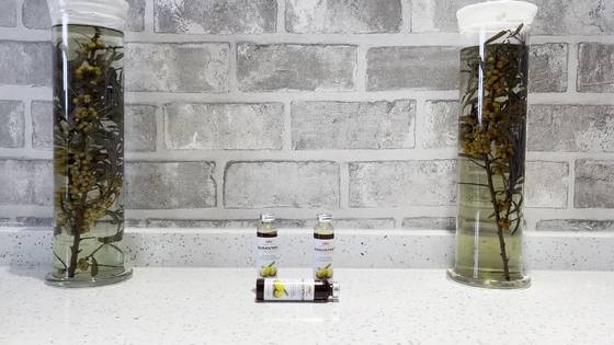 OEM Venous Health Oral Liquid Improves Respiratory, Cardiovascular, and Cerebrovascular Health