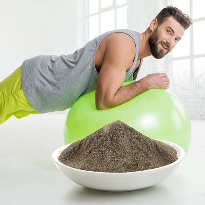 OEM High Quality Organic Protein Powder Supplement Weight Gain Vegan Protein Powder