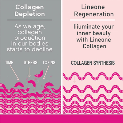 OEM Collagen Protein Drink Powder Beauty Products Hydrolyzed Fish Collagen Collagen Peptide