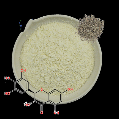 OEM private label dihydromyricetin from vine tea Vine Tea Extract dihydromyricetin powder 98%