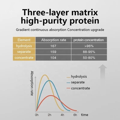 OEM/ODM Whey Protein Powder Nutrition Powder Fitness Exercise Increase Muscle Fast Weight Gain Creatine Powder