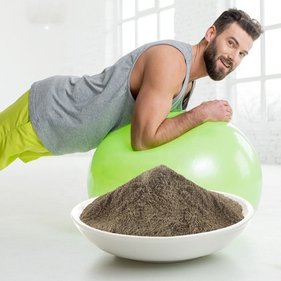 Organic Protein OEM Powder Weight Gain Vegan Protein Powder