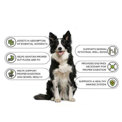OEM Natur Pet Nutrit Training Gain Tablet Supplement Health Muscle Gain Builder Dog Weight Gain Protein Supplement