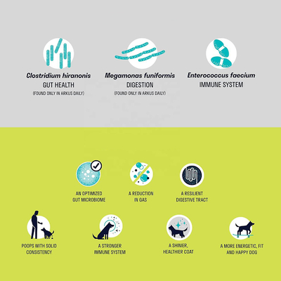 Multivitamins Pet Nutritional Supplements Grain Free OEM Daily Probiotic Supplement For Dogs