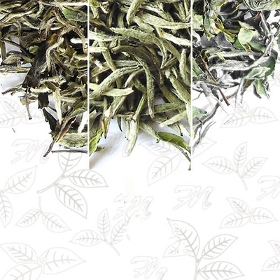 OEM detoxification flat tumor tea Traditional herbal weight loss tea Neutral leaf packaging