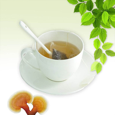 OEM Ganoderma Lucidum Mushroom Lingzhi Green Tea Bag Instant Herbal Health Detox Tea