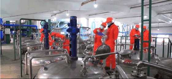 10g / Day OEM Fish Collagen Peptide Granules High Protein Nutritional Supplement