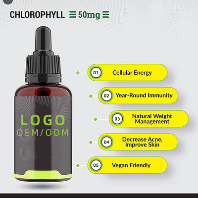 OEM/ODM Chlorophyll Liquid Drops For Water Peppermint Flavored For Skin Health Immune Support Energy Supplement