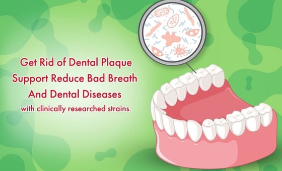 Sugar Free Oral Probiotic Bubble Lozenges Tablet 3 Billion CFU For Teeth Gums Health And Fresh Breath