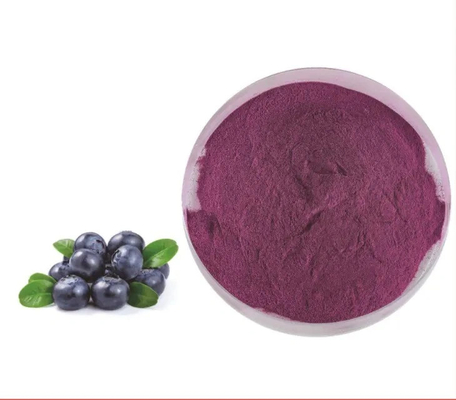 Natural Fruit Extract Solid Beverageinstant Blueberry Juice Powder