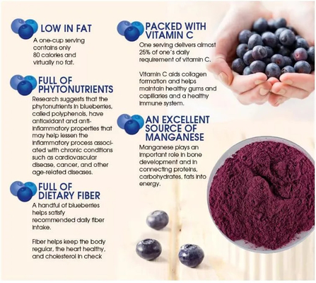 Natural Fruit Extract Solid Beverageinstant Blueberry Juice Powder