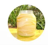 Gran stock de suministro de té bebida sólida Probiótico Kombucha en polvo fábrica mayorista