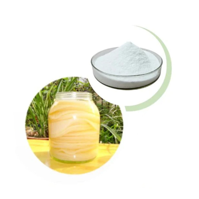 Large Stock Supply Tea Solid Beverage Probiotic Kombucha Powder Factory Wholesale