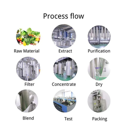Large Stock Supply Tea Solid Beverage Probiotic Kombucha Powder Factory Wholesale