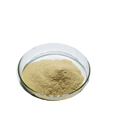 Natural Supplement High Quality Green Tea Leaf Extract 98% Tea Polyphenols Powder