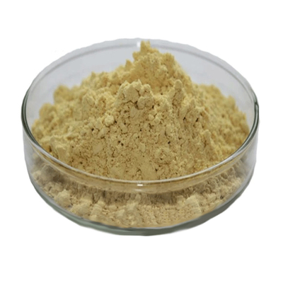 Natural Supplement High Quality Green Tea Leaf Extract 98% Tea Polyphenols Powder