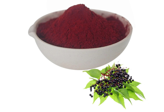 Manufacturer Supply Hot Sale Water Soluble Instant Elderberry Juice Powder Fruit Powder