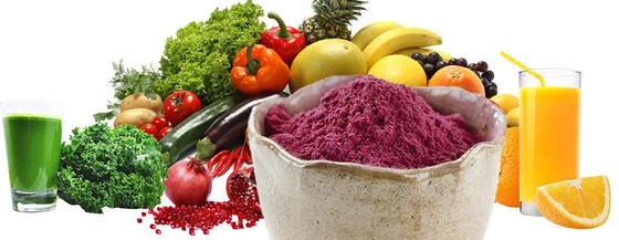 Manufacturer Supply Hot Sale Water Soluble Instant Elderberry Juice Powder Fruit Powder