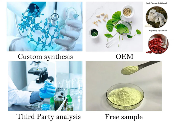 Manufacturer Supply Hot Sale Water Soluble Instant Elderberry Juice Powder Fruit Powder
